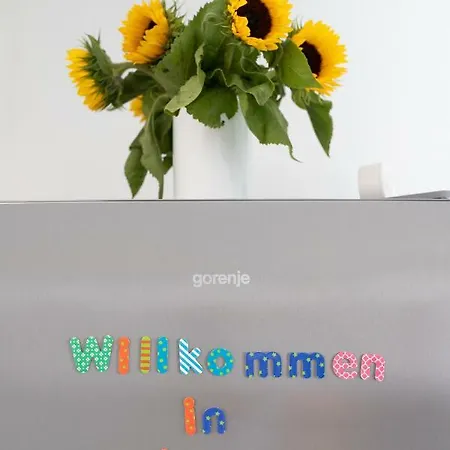 Holiday home Ko-living Koblenz (Rhineland-Palatinate)